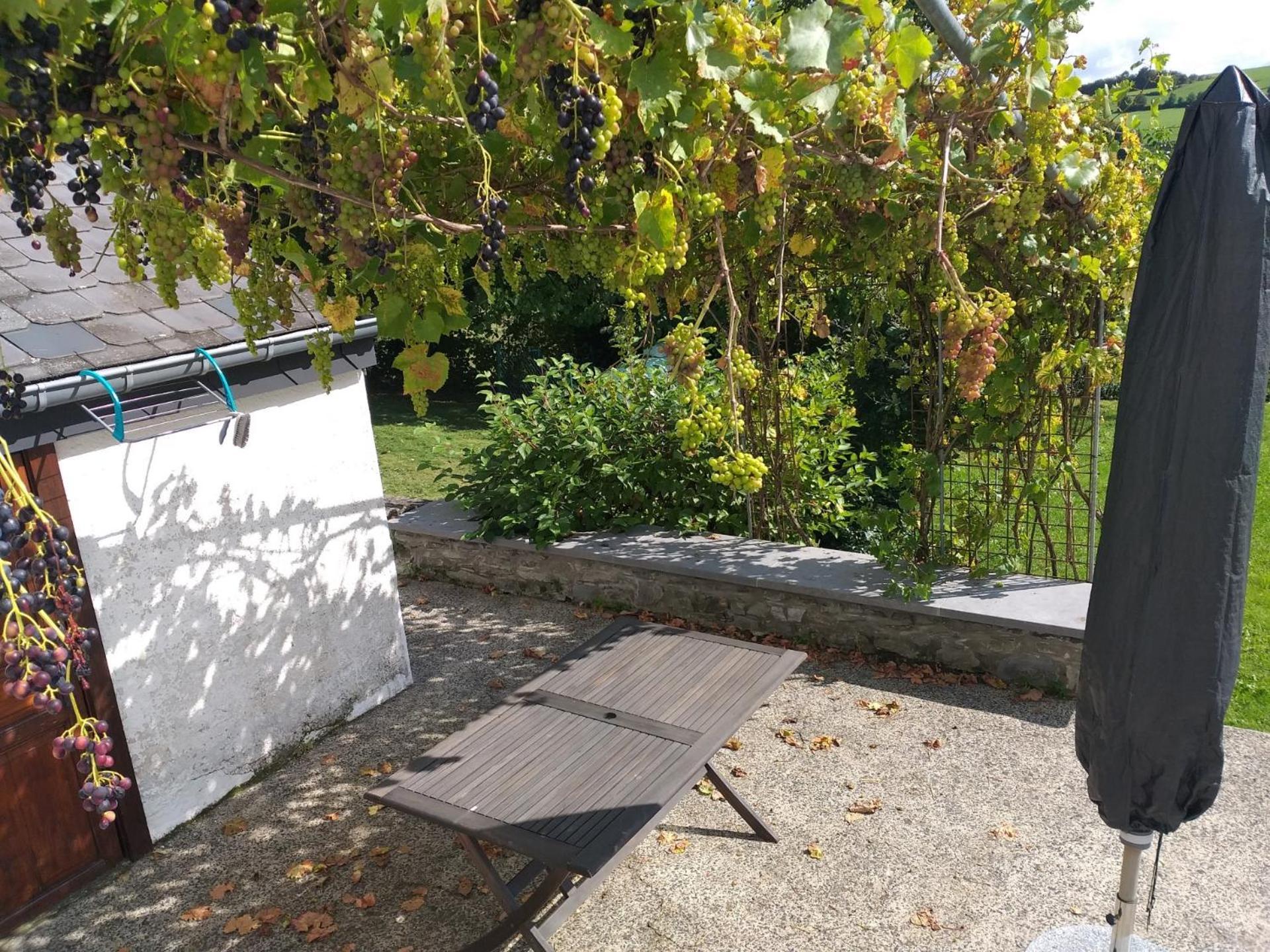 Gite L'Ecole De Ma Mere Villa Bertogne Exterior foto